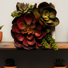 Load image into Gallery viewer, Faux Succulent Wall Hanging Decor in Wood Frame
