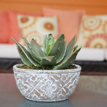 Load image into Gallery viewer, Faux Succulent Planter - Set of 2

