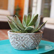 Load image into Gallery viewer, Faux Succulent Planter - Set of 2
